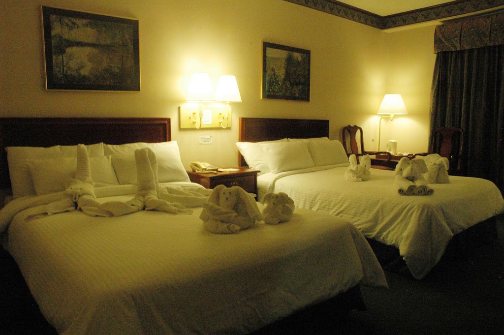 Tagaytay Country Hotel Tagaytay City Pokój zdjęcie